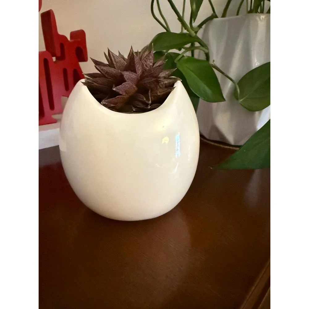 White Ceramic Cat Planter | Cat Lady Box Collectible